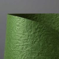 구김지(일반) 2절 110g/P128.진녹색