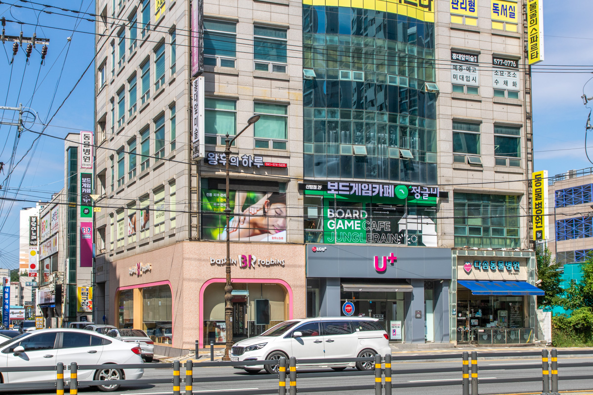 정글비 신방점