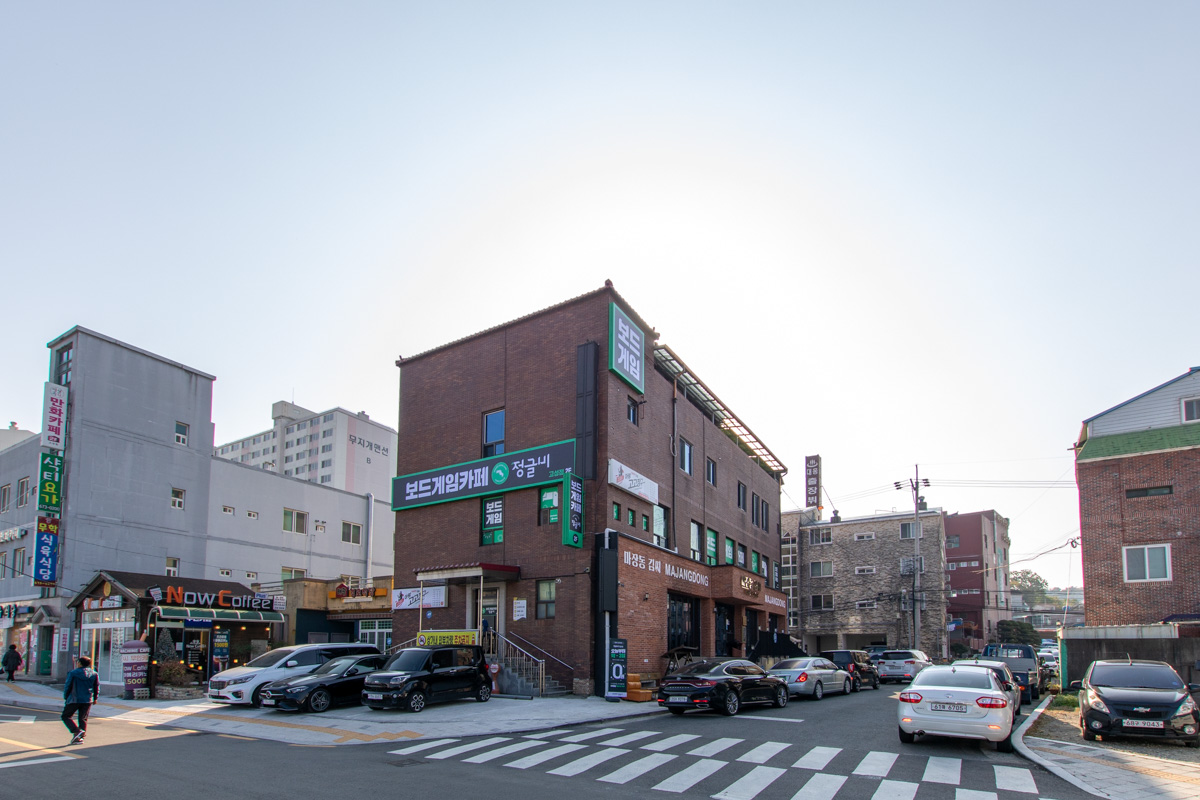 정글비 고성점