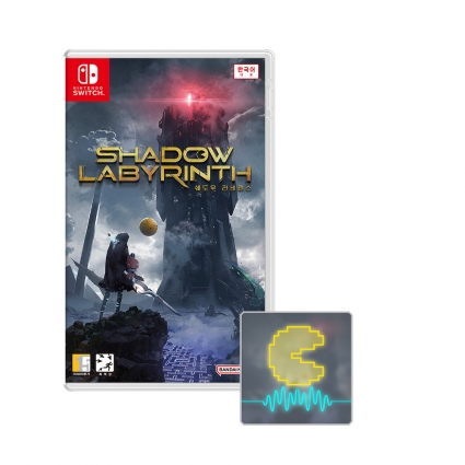 닌텐도 스위치 쉐도우 라비린스