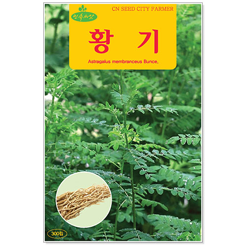 청농