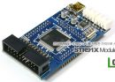 STR91X Mudule Board