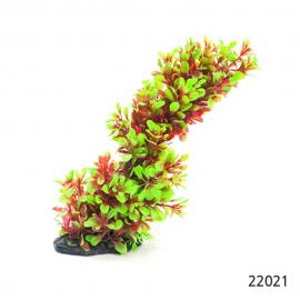 아마존 조화 22021