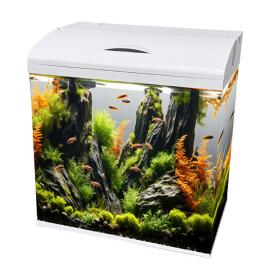 아마존 일체형어항 324x218x348 AMZ-320