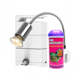 거북이여과기AMZ-XN600+250ml감마루스+WG400조명세트