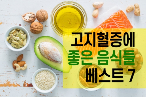 한국인 고지혈증에 좋은 음식 추천 베스트 7 (2025년)