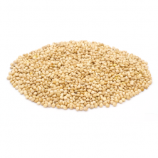 세척 볶은 백기장 100g