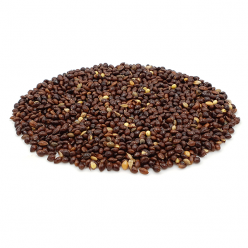 세척 볶은 흑기장 100g