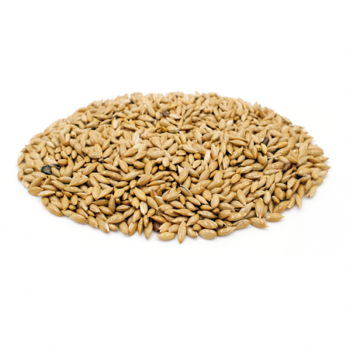 세척 볶은 카나리씨드