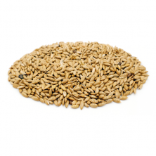 세척 볶은 카나리씨드