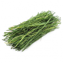 국산 라이그라스 건초 50g