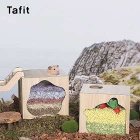 타핏 시크릿 디깅박스 (곰돌이)