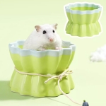 [카르노] 물결 세라믹 급식기-그린