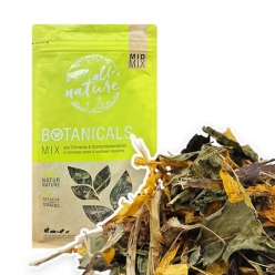 [버니] 보태니컬 에키네시아 & 썬플라워 블라썸 140g