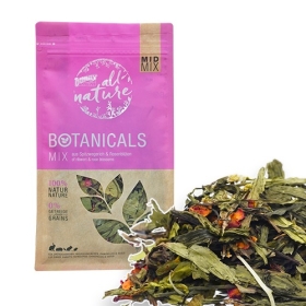 [버니] 보태니컬 에키네시아 & 썬플라워 블라썸 140g