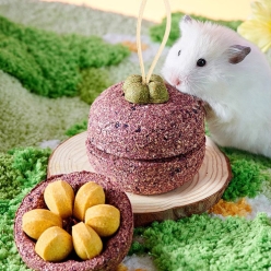 [YEE] 망고스틴 이갈이 스낵 토이 140g