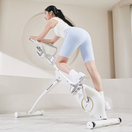 업그레이드 하이엔드 런닝바이크 EX460N