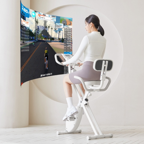 리얼 실내자전거 등받이형 CF918A(BT)