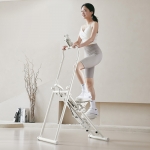 스카이 스텝퍼 TS330A