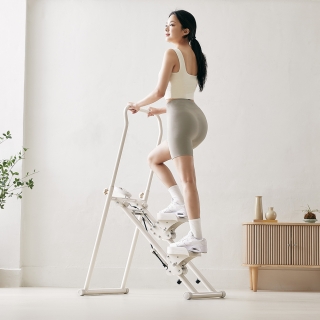 스카이 스텝퍼 TS330