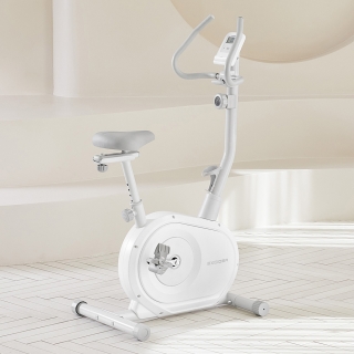 [EB520 설치상품] 리얼 패밀리 실내자전거 EB520