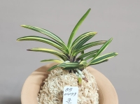 준