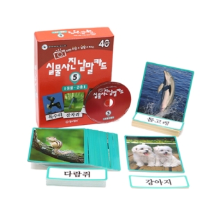 실물사진낱말카드5동물&amp;곤충(+디지털학습콘텐츠)