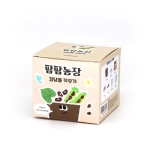 팜팜농장-강낭콩모종키우기(6인세트)