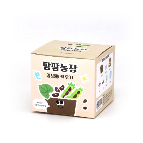 팜팜농장-강낭콩모종키우기(6인세트)