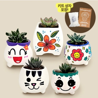 다육식물화분꾸미기(5인세트)