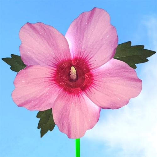 무궁화바람개비만들기(5인용)