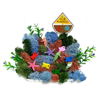 스칸디아모스바다만들기(5개세트)