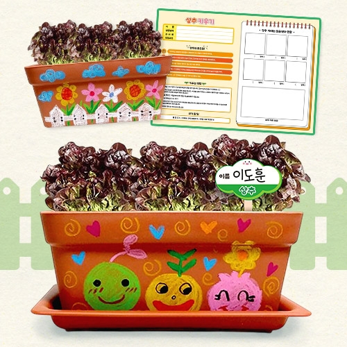 [미니농장]쉬운상추키우기세트(화분꾸미기+키우기)5인용