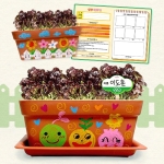 [미니농장]쉬운상추키우기세트(화분꾸미기+키우기)5인용