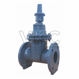 1000000091 동진밸브 닥타일10K 수도용 소프트실 제수밸브 DSSV-1F 50A~300A (가스켓, 볼트, 너트 포함, 80A부터 KC인증 가능)