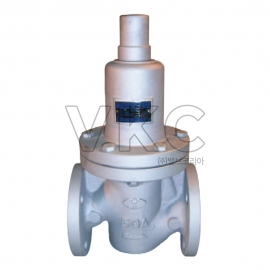 1000001899 유연 닥타일 1차압력조절밸브 RGD-1F 10K 15A~150A 플랜지식 (물, 공기 접속방법 JIS 플랜지 FCD 주철 감압변 감압밸브)
