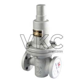 1000002007 YNV 주강 1차압력조절밸브 DRG-2F 20K 15A~200A 플랜지식, 물, 공기, 오일 (와이엔브이 SC 직동식 감압변)