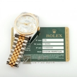 RO3101/데이저스트/116243/남성용