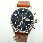 IW0074/파일럿/오토/남성용