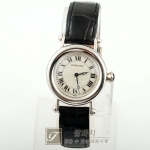 CA1307/디아블로/수동/중형