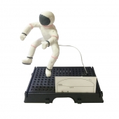 척추동물모형만들기(1인세트)