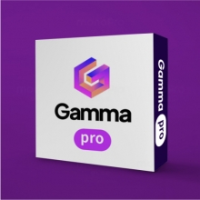 감마 프로 Gamma Pro 라이센스(1 유저, 12개월 이용권)