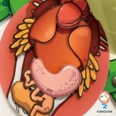 속이보이는개구리[5인용]