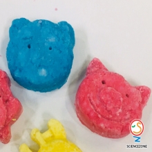 동물비누만들기[5인용]