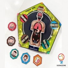 인체의비밀-호르몬[1인용]