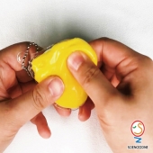 실리콘스퀴시[5인용]