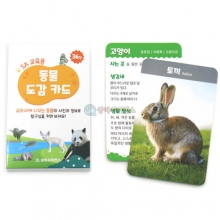 ★25년 개정교과서 통합★ SA 교육용 동물 도감 카드 (36종)