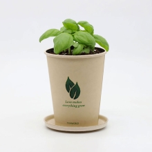 에코컵가든 - 스위트바질