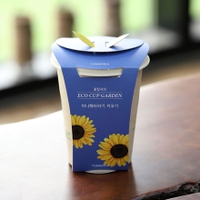 에코컵가든 - 해바라기