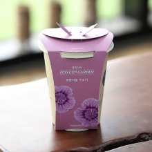 에코컵가든 - 패랭이꽃